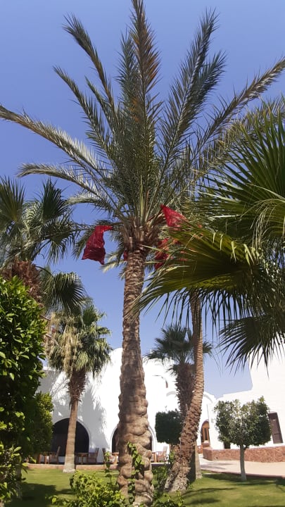 Außenansicht Arabella Azur Resort