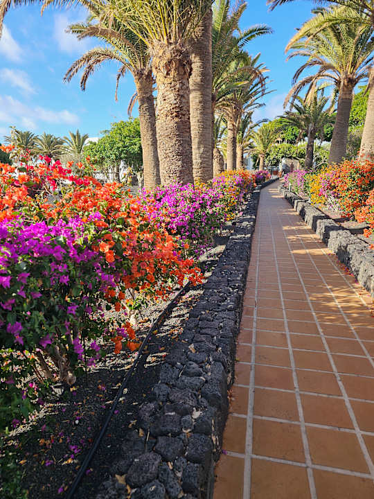 Außenansicht Relaxia Olivina