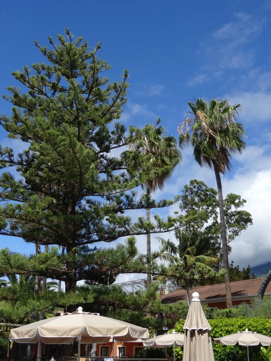 Gartenanlage Apartments Ambassador