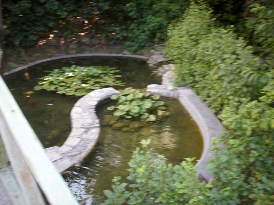 Hotelteich Asteria Collection Side