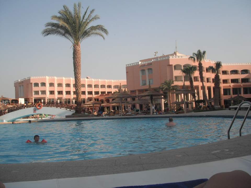 Poolansicht Beach Albatros Resort