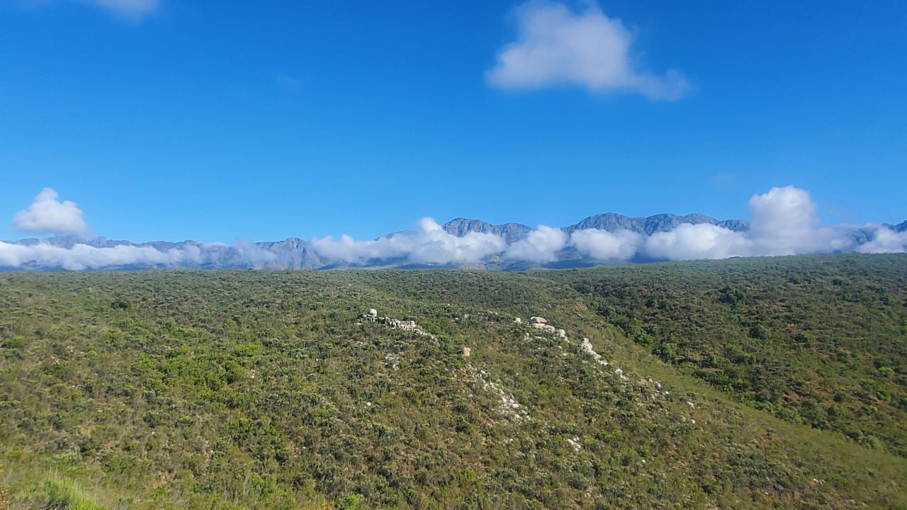 Ausblick Wildehondekloof Game Lodge