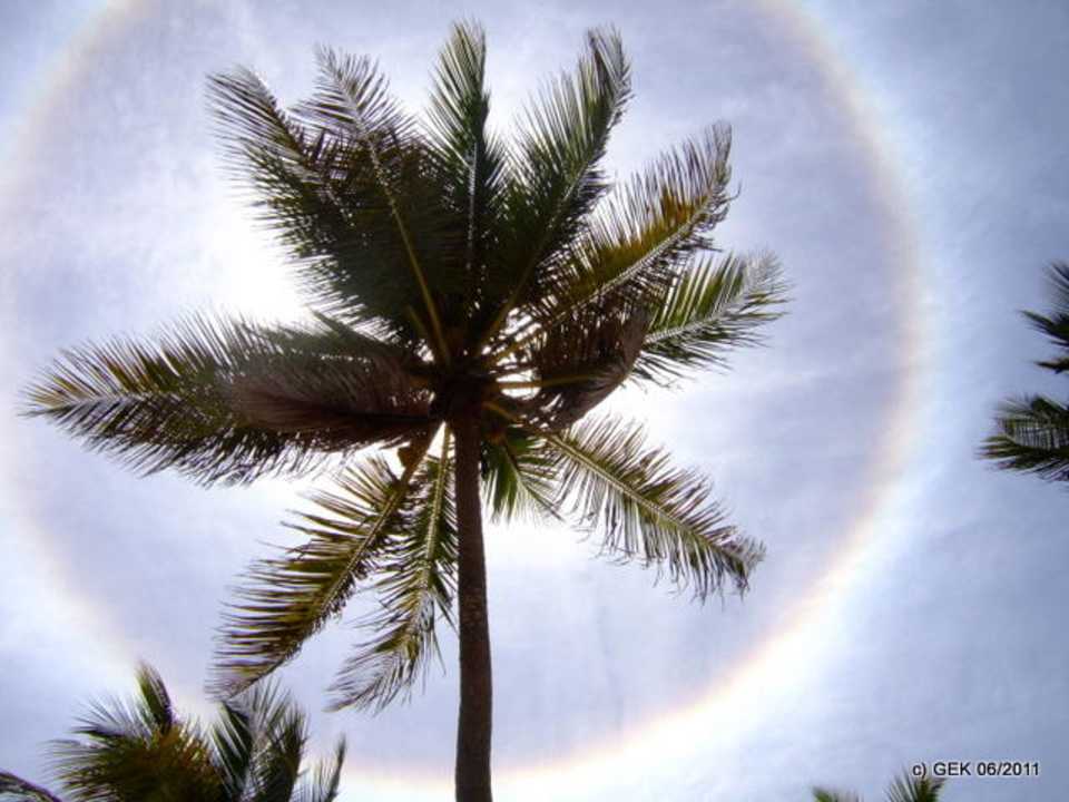 Halo-Phänomen Punta Cana Princess All Suites Resort & Spa