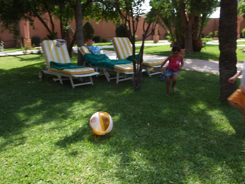 Schwimmbad & Garten Hotel Mansour Eddahbi