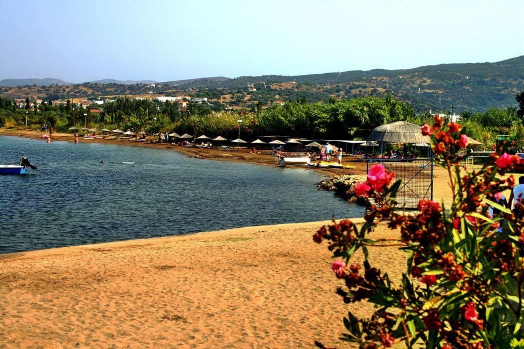 Strand Hotel Venus Beach