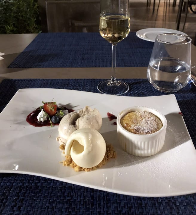 Gastro Acanthus Cennet Barut Collection