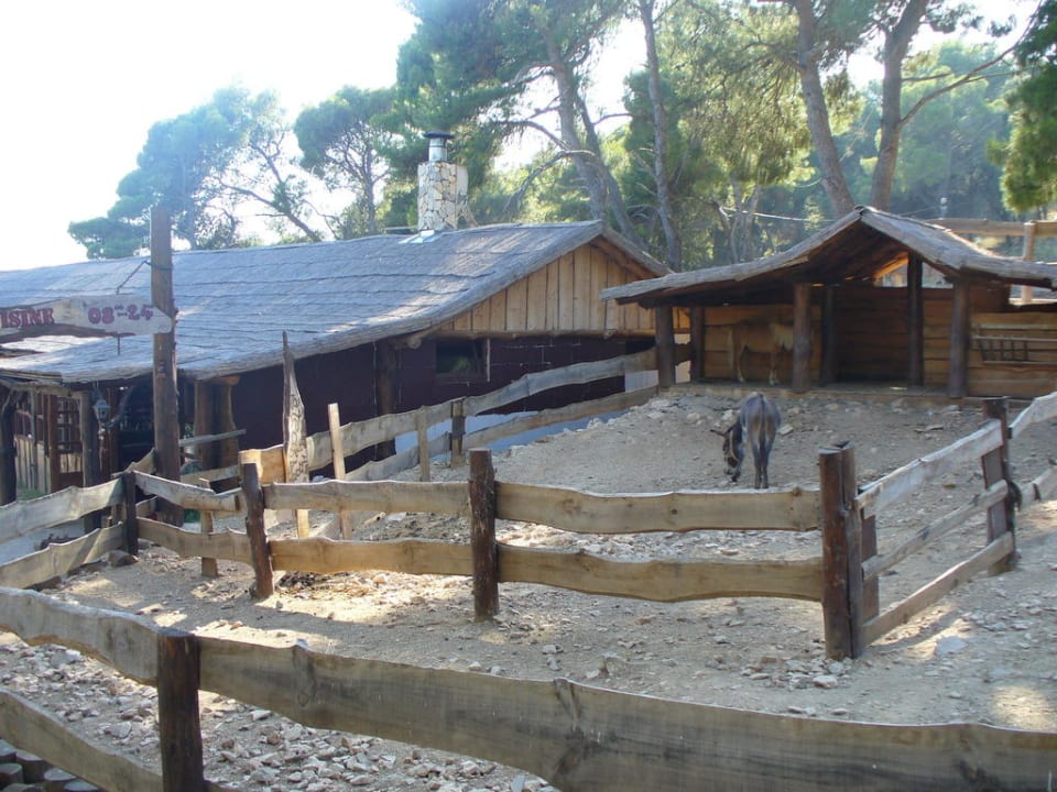 Mini zoo Medena Apartments