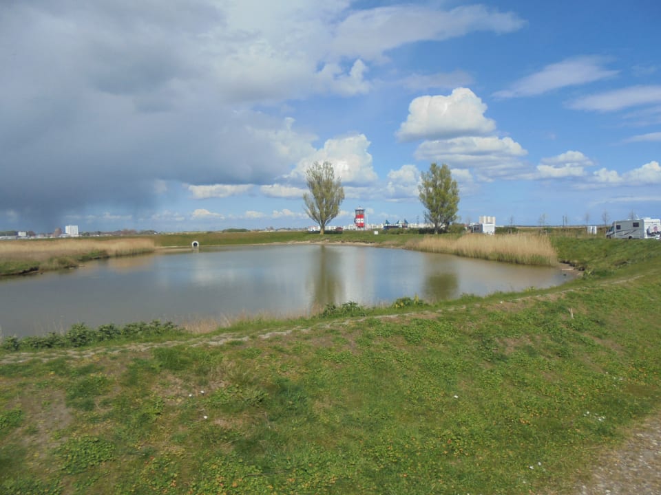 Ausblick Camping- und Ferienpark Wulfener Hals