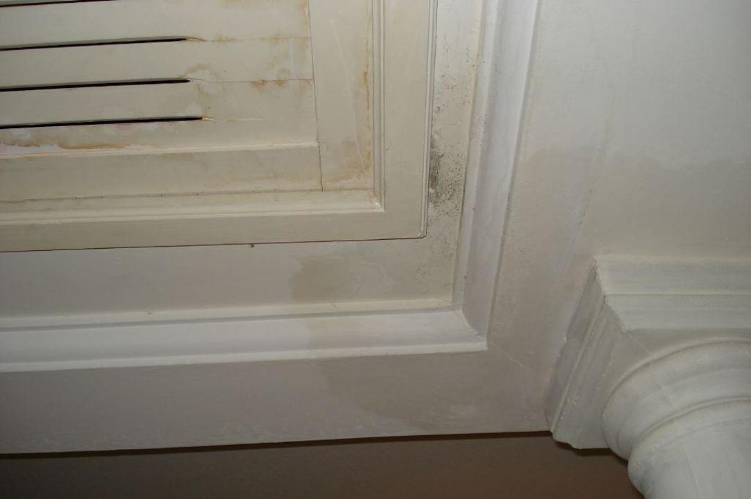 Dobrze że nie czuć zapachu Hotel Aqua Life Yasmine