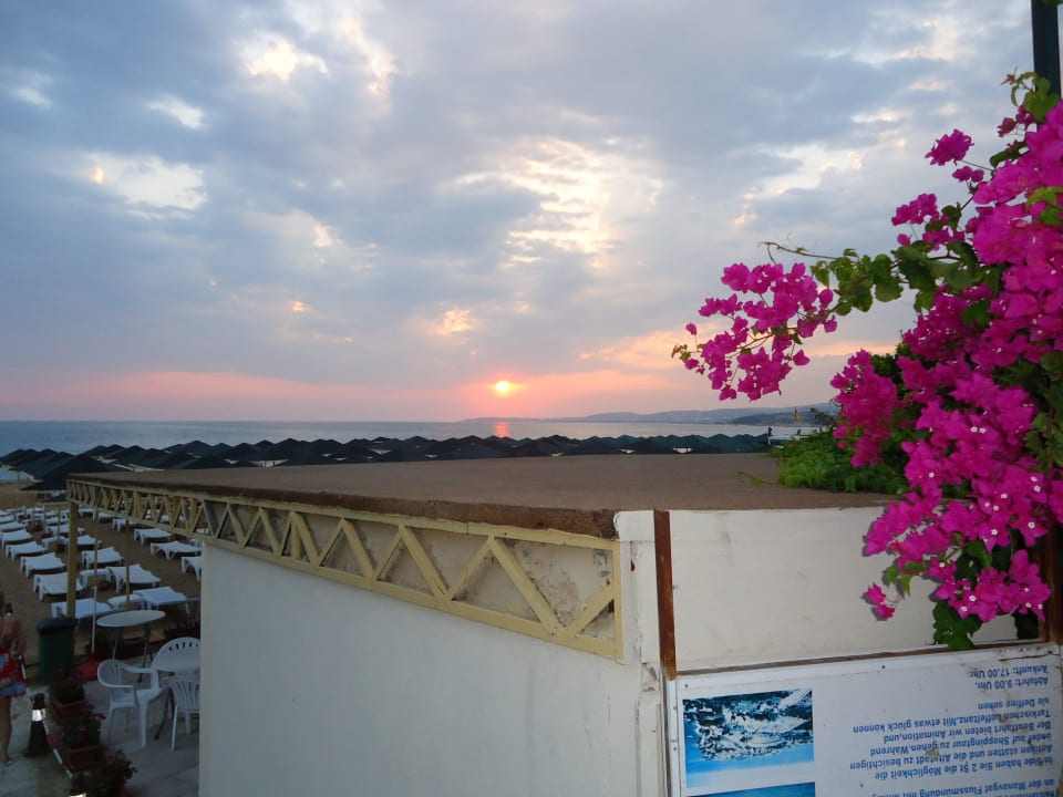 Ausblick aufs Meer My Home Resort