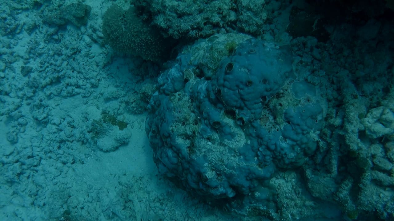 Sport & Freizeit Furaveri Maldives