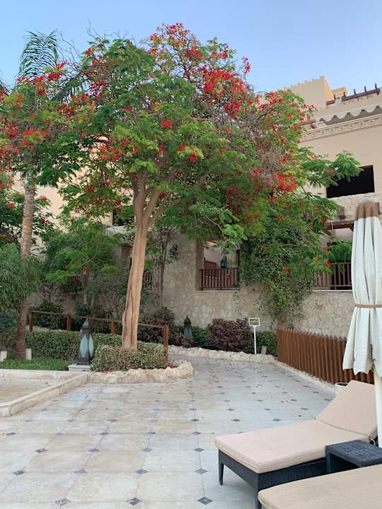 Außenansicht Makadi Spa - Adults only