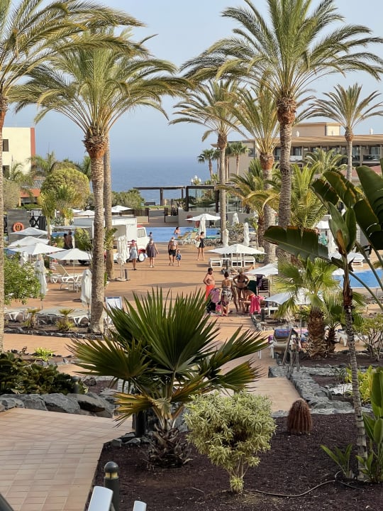 Gartenanlage Iberostar Waves Gaviotas Park