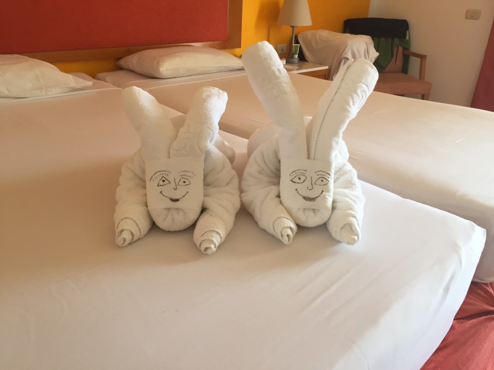 Zimmer Hotel Gorgonia Beach Resort