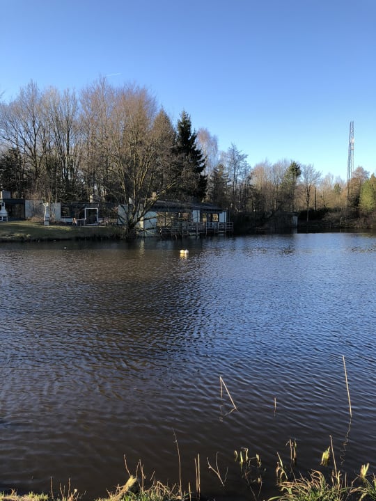 Blick auf den See Center Parcs De Eemhof