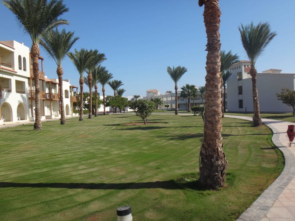Garten Pickalbatros Dana Beach Resort - Hurghada