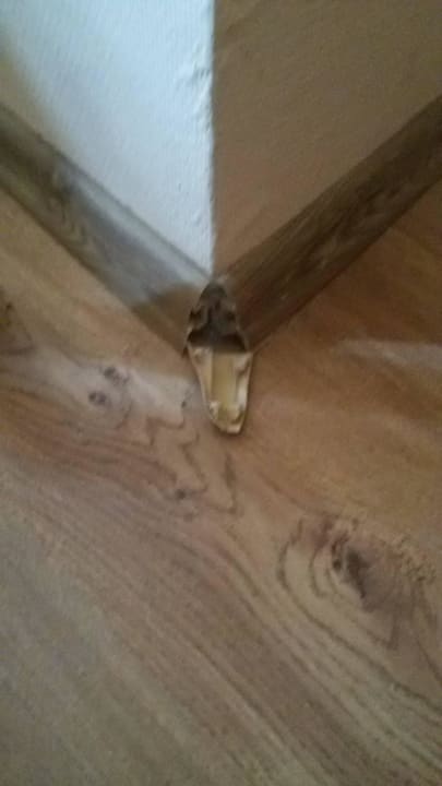 Fussleiste Villa Antares