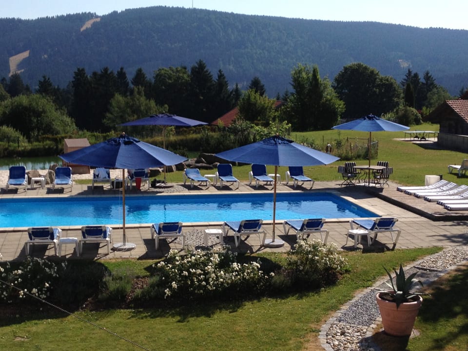 Pool Berghotel Maibrunn