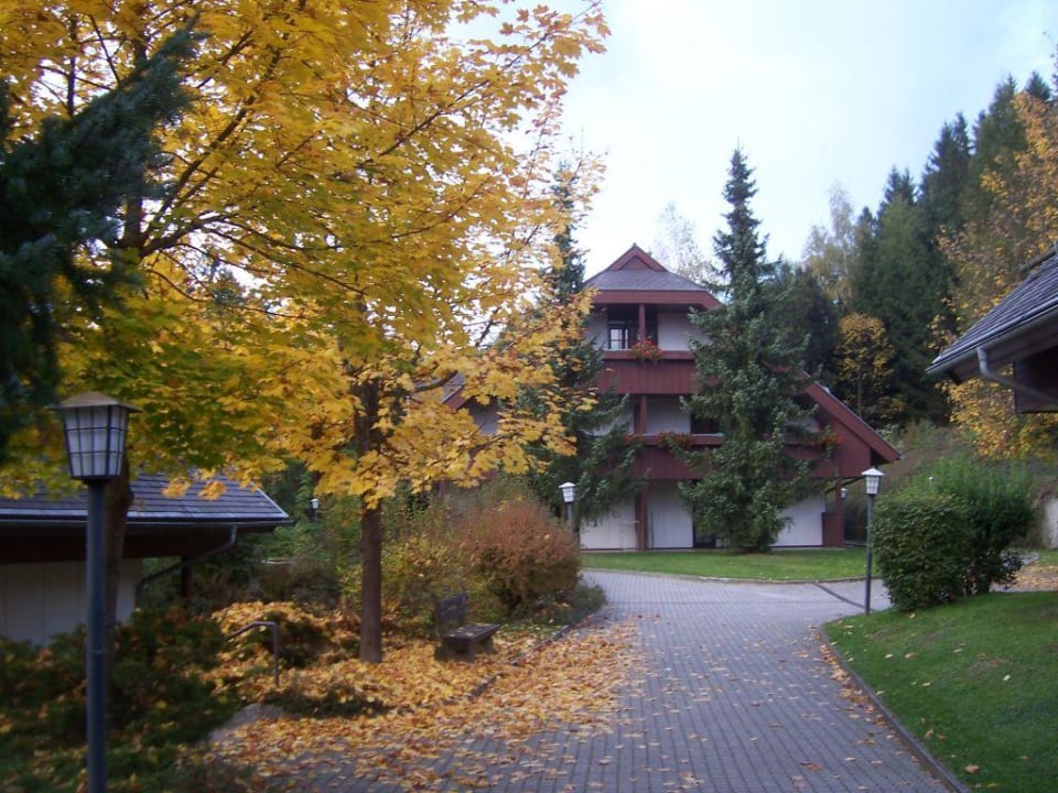 Ferienhäuser im Herbst Feriendorf am Maltschacher See
