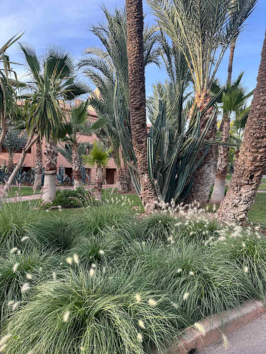 Gartenanlage Hotel Riu Tikida Garden - Adults Only