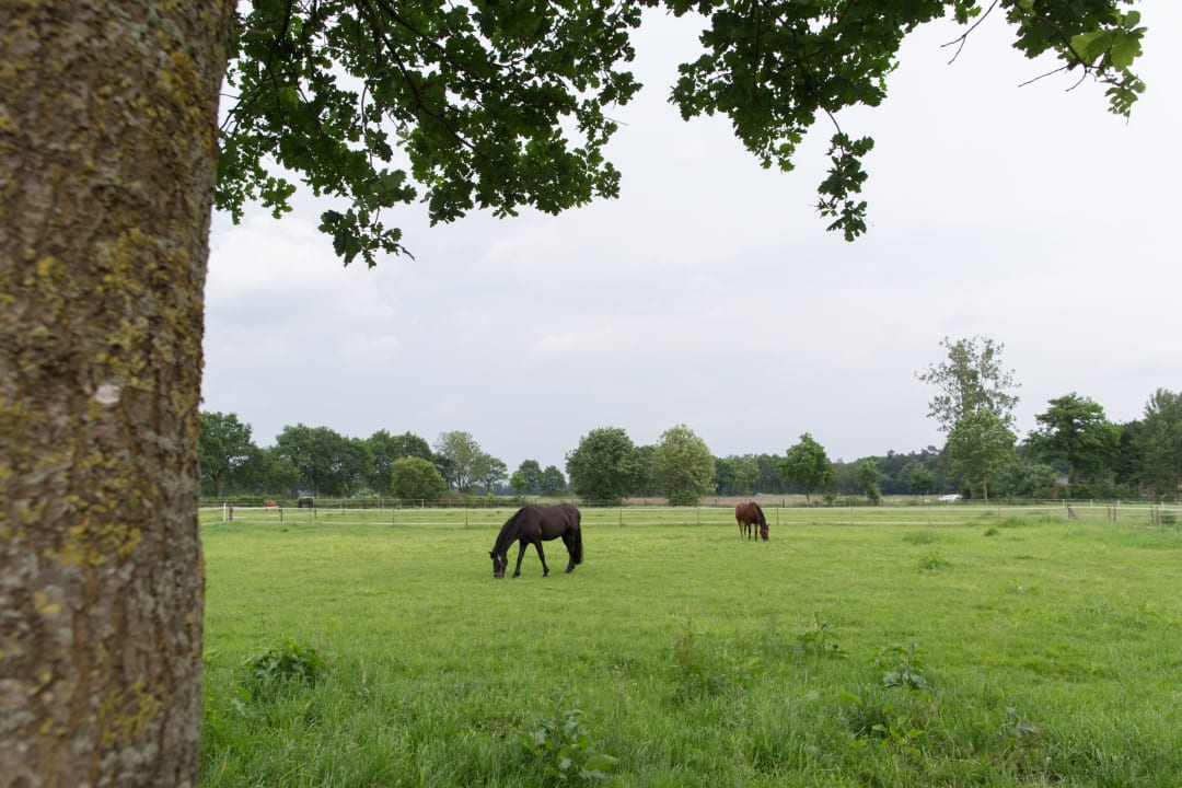 Gartenanlage Landhuus Laurenz