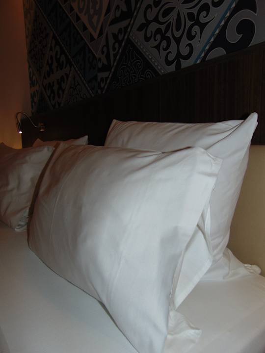 Zimmer Mercure Almaty City Center