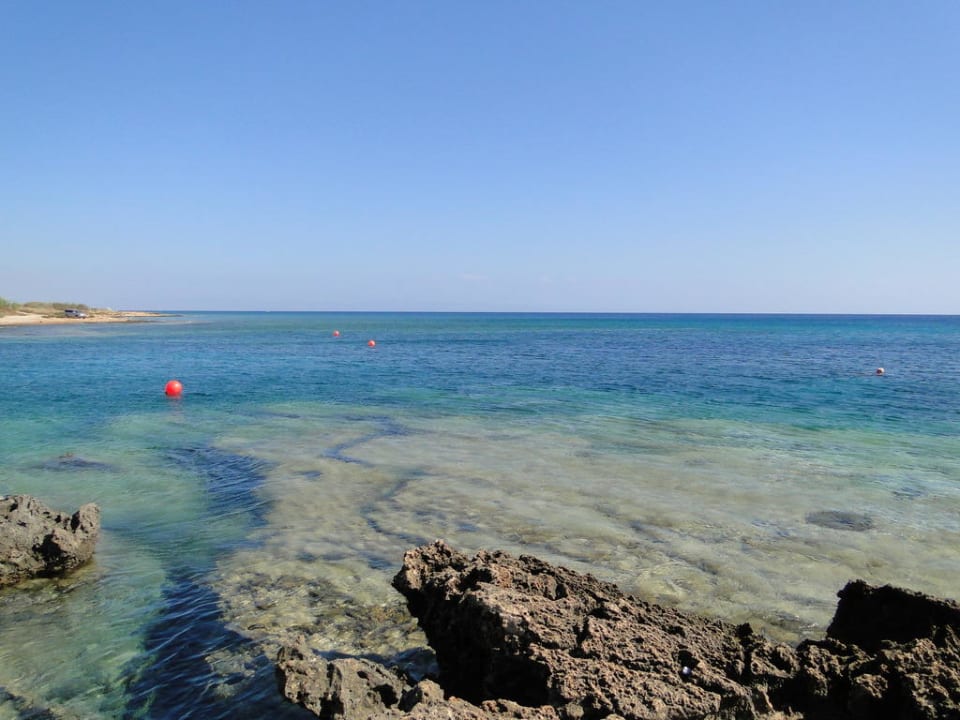 Crystal Springs Beach Hotel Crystal Springs Beach Hotel