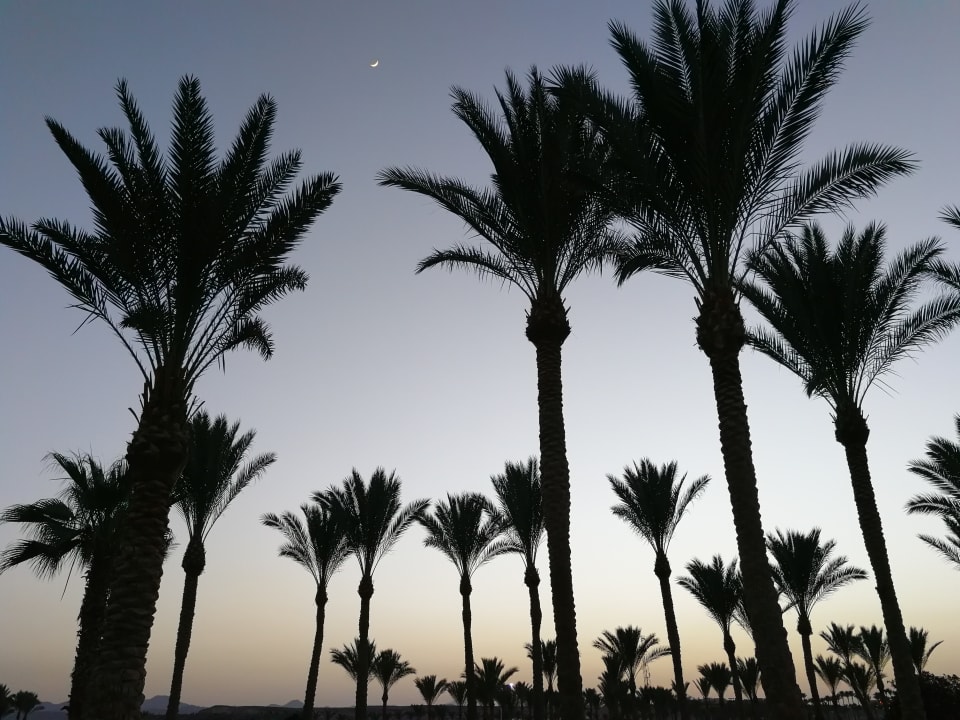 Gartenanlage Jaz Solaya