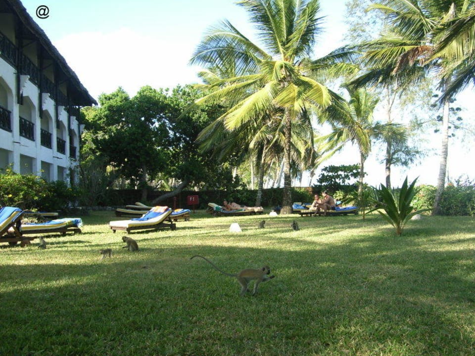 Liegen im  Papillon Hotel Papillon Lagoon Reef