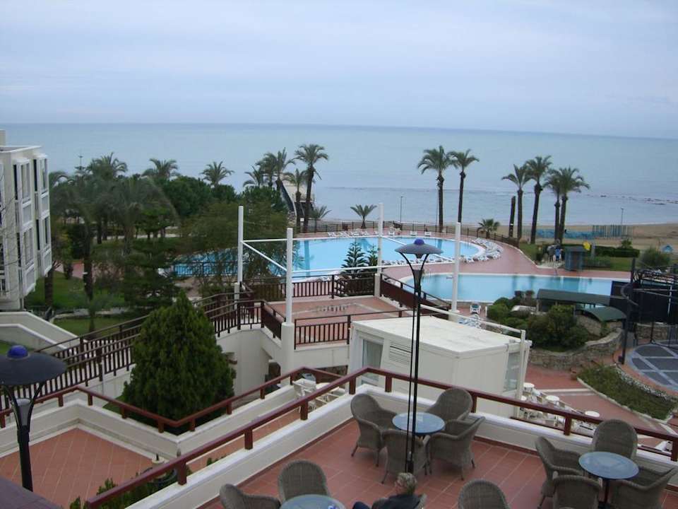 Ein stürmischer Tag PALOMA Perissia