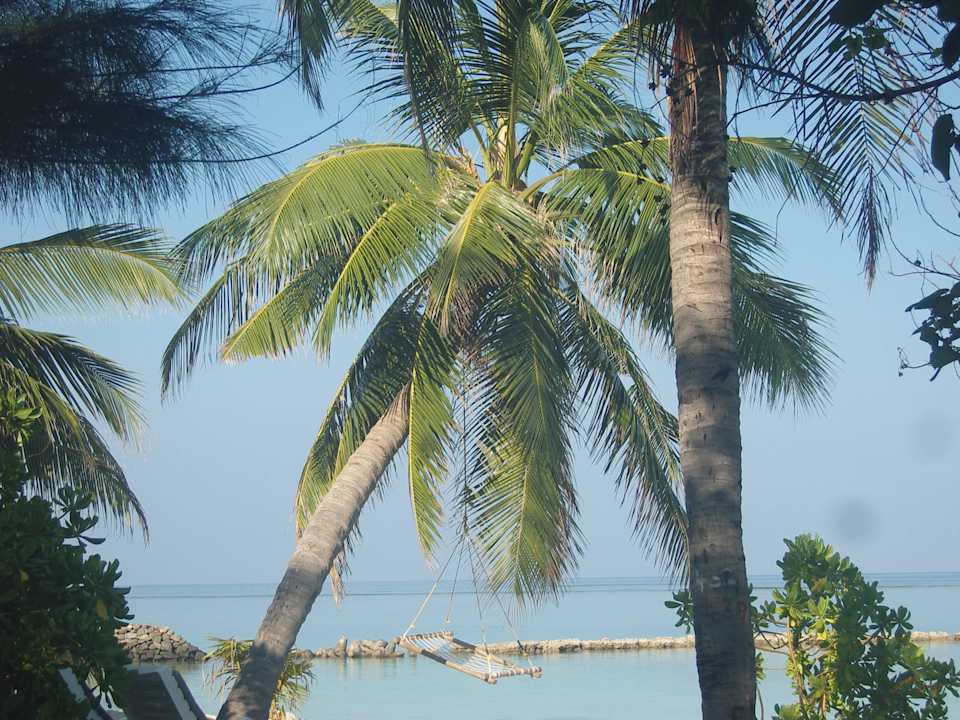 Unbeschreiblich Summer Island Maldives