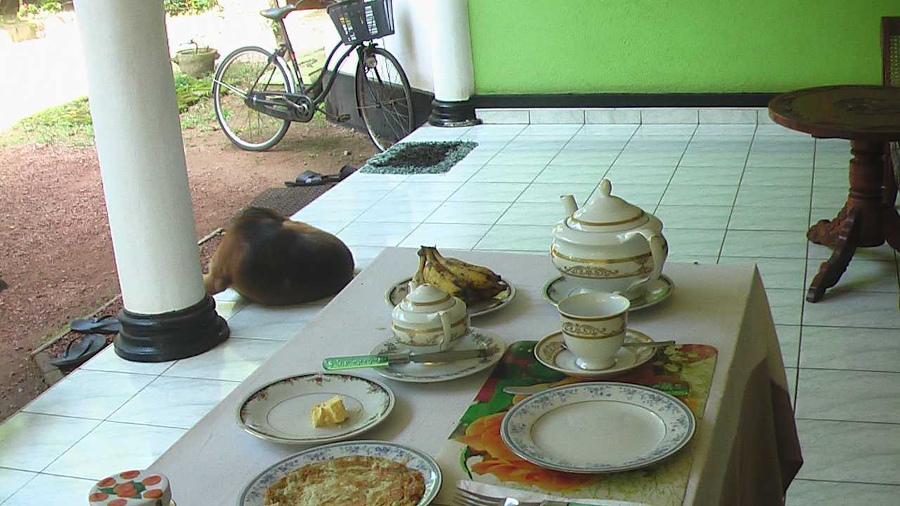 Zimmer Sunshine Guesthouse