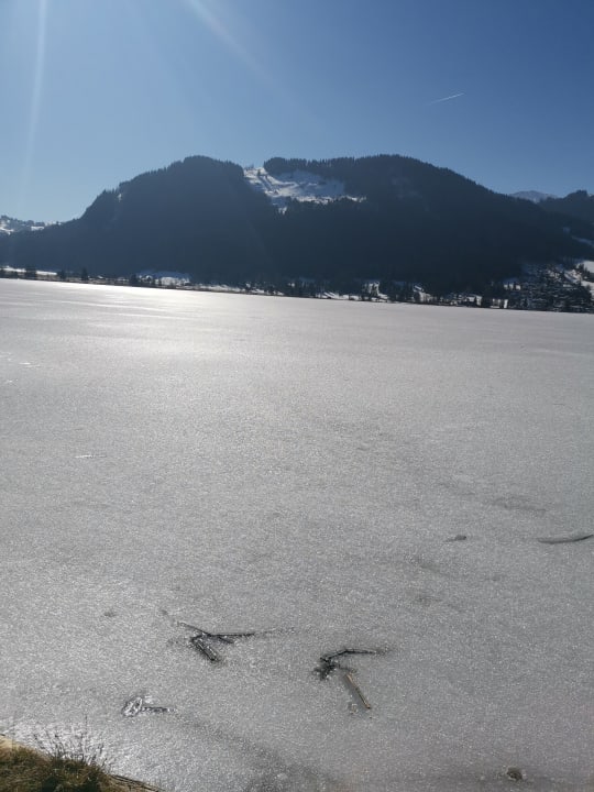 Ausblick Hotel Bellevue am See
