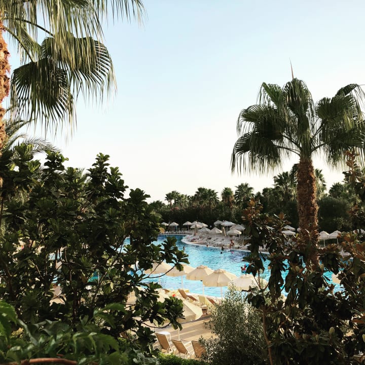 Gartenanlage Seaden Sea World Resort & Spa