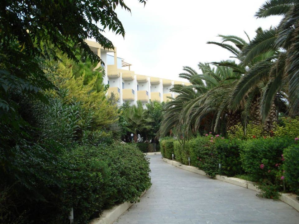 Weg zum Eingang Hotel Aphrodite Beach Club