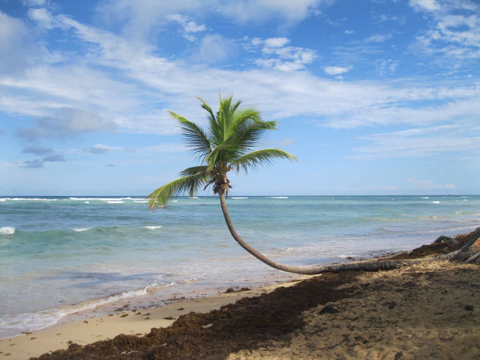 Palme und Meer Grand Sirenis Punta Cana Resort & Aquagames