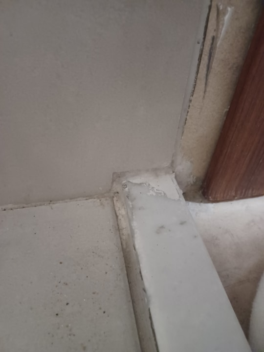 Zimmer Calimera Hane Garden