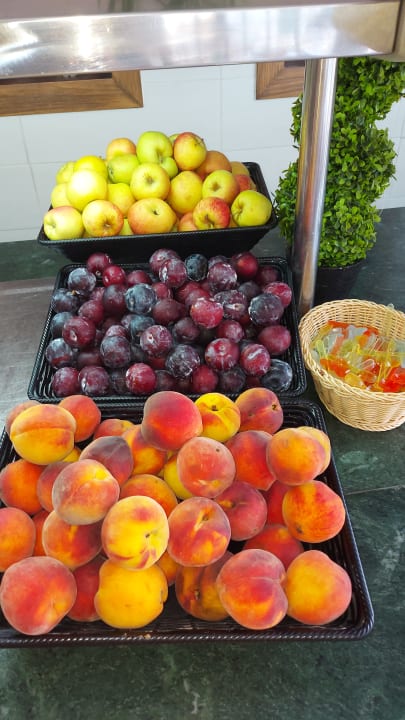 Gastro Hotel Royal Nozha