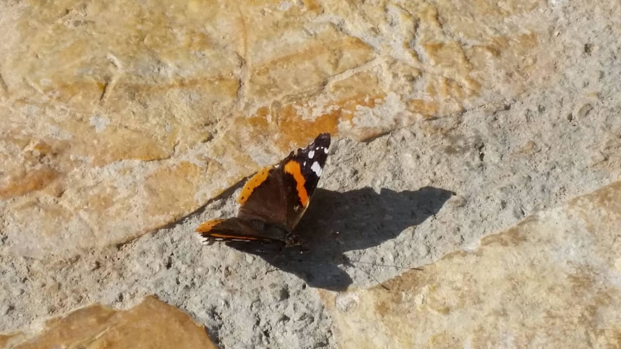 Strandfliesen Maistra Select Belvedere Resort