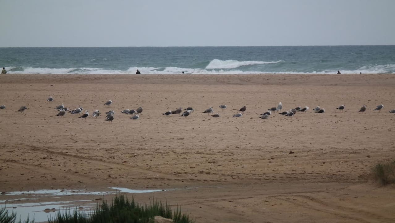 Blick vom Hotelfenster Fuerte Conil-Resort