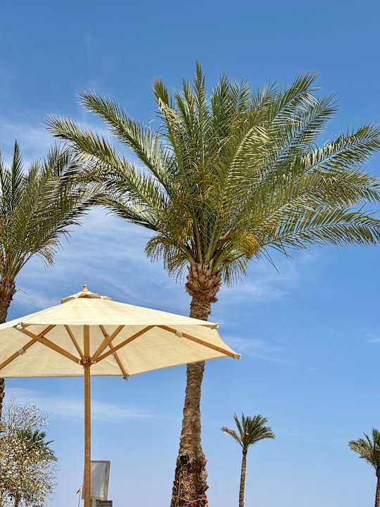 Pool Steigenberger Alcazar