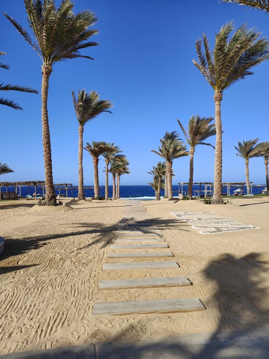 Strand Steigenberger Coraya Beach - Adults only