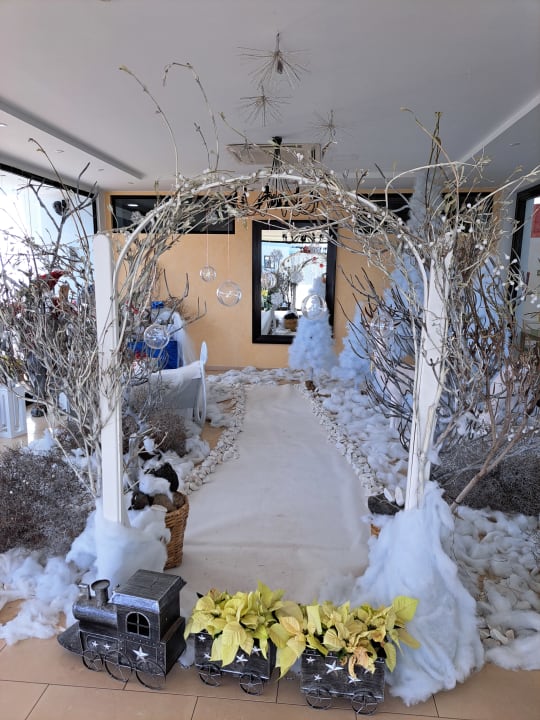 Sonstiges allsun App.-Hotel Albatros