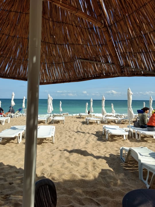 Strand Sentido Marea