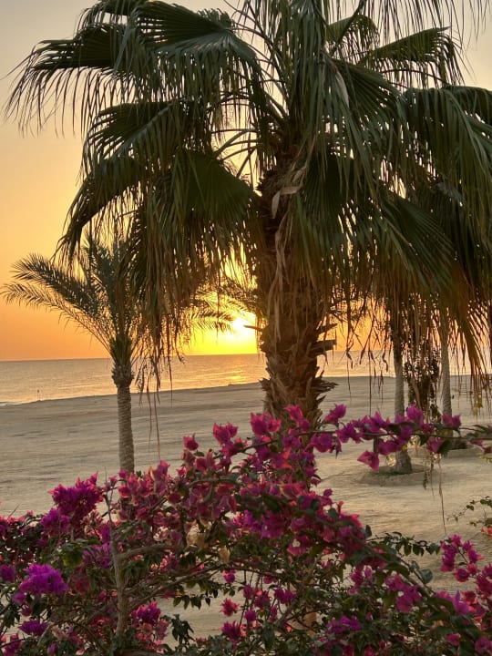 Strand Steigenberger Coraya Beach - Adults only