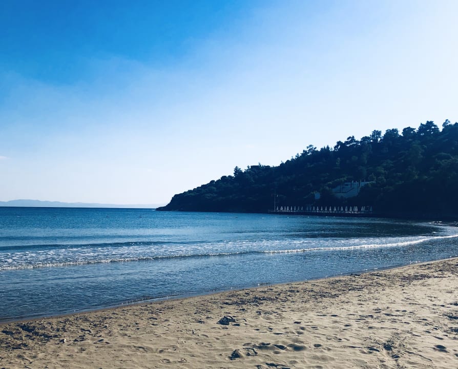 Strand Paloma Pasha