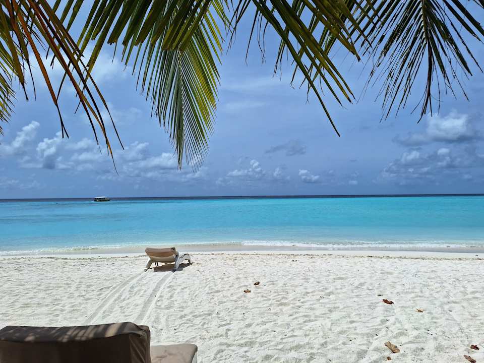 Strand Summer Island Maldives