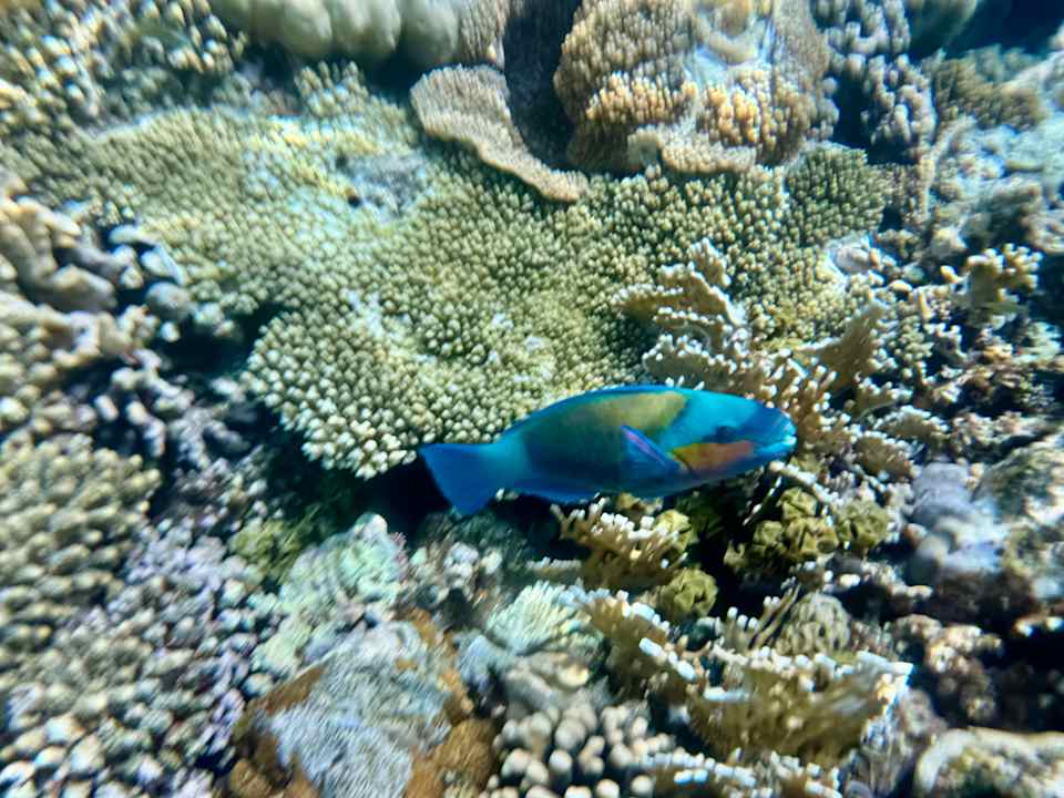 Sonstiges Serenity Alpha Beach