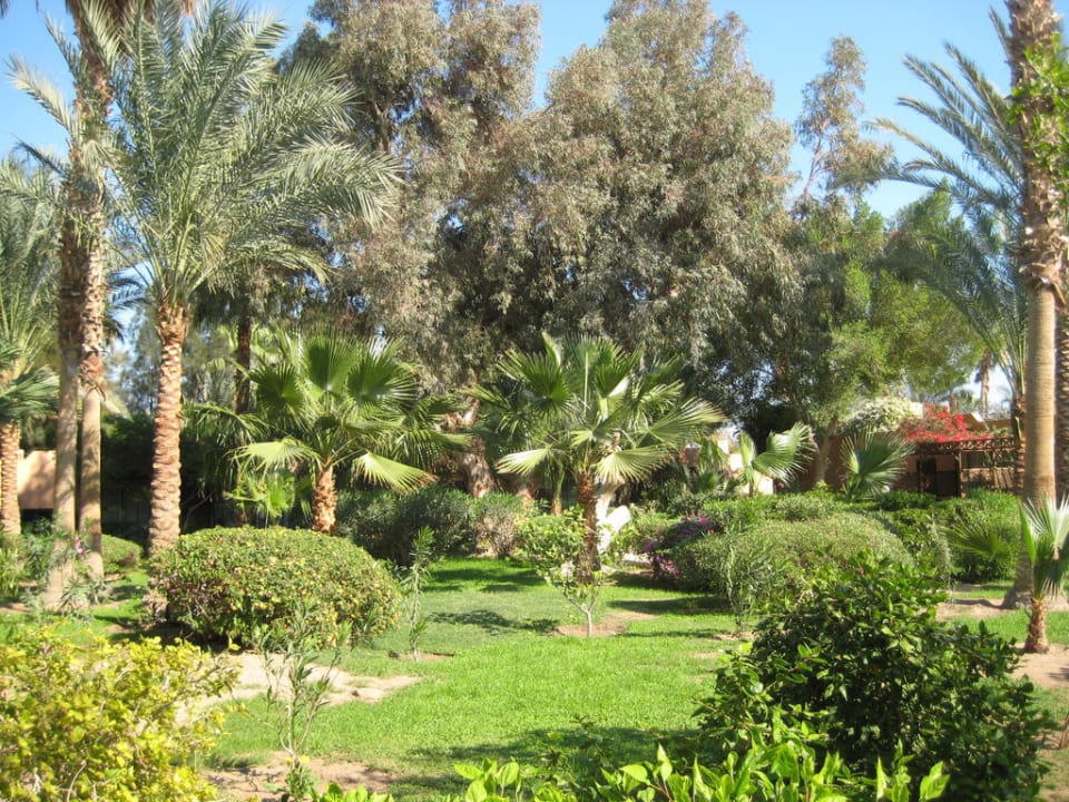 Ein Traum im Winter Giftun Azur Resort