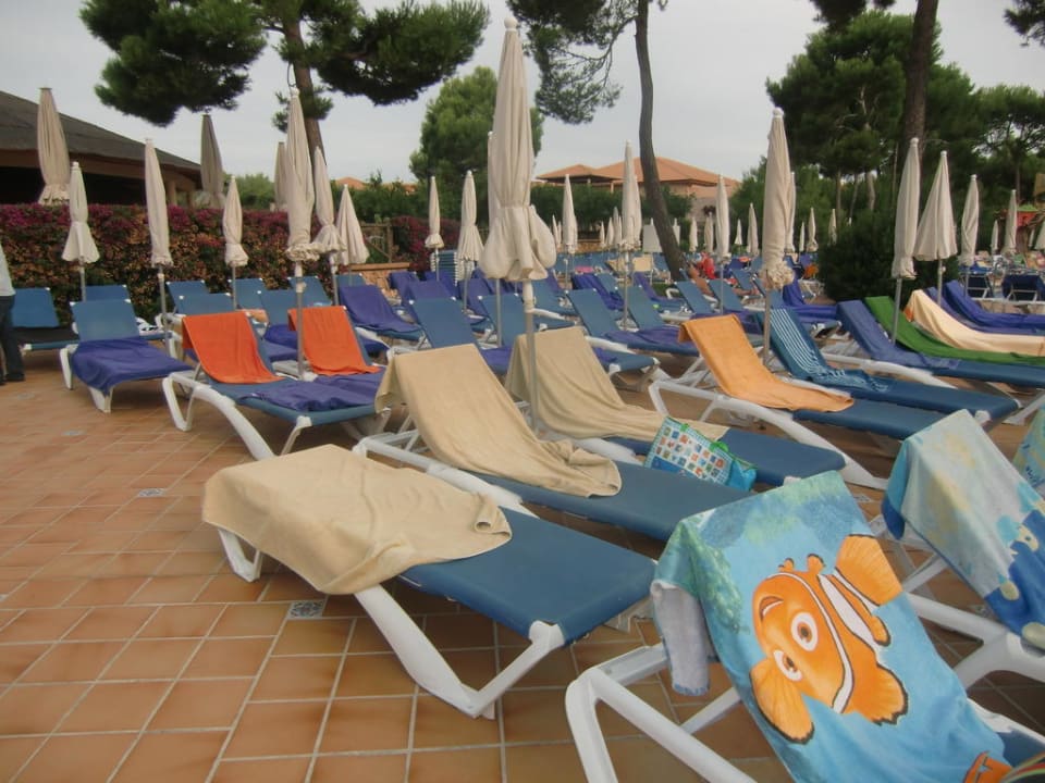 8.30 Uhr und alle Liegen besetzt Zafiro Mallorca